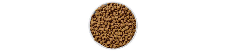 Royal Canin Veterinary Diets Cat Dry Food 獸醫配方貓乾糧